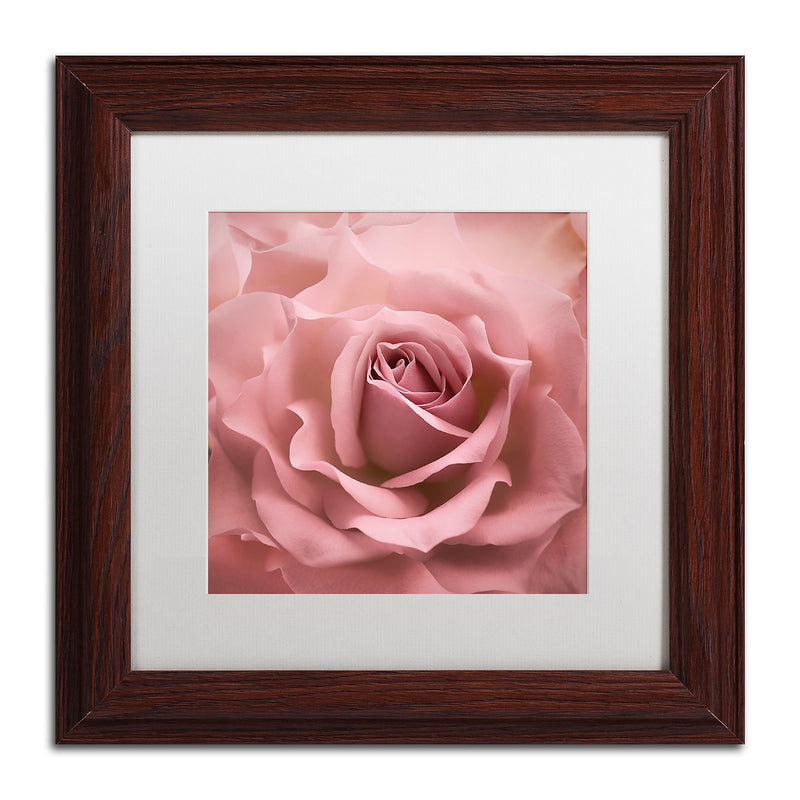 Trademark Fine Art Cora Niele 'Misty Rose Pink Rose' 11" x 11" Matted Framed Art Print (190836258307)