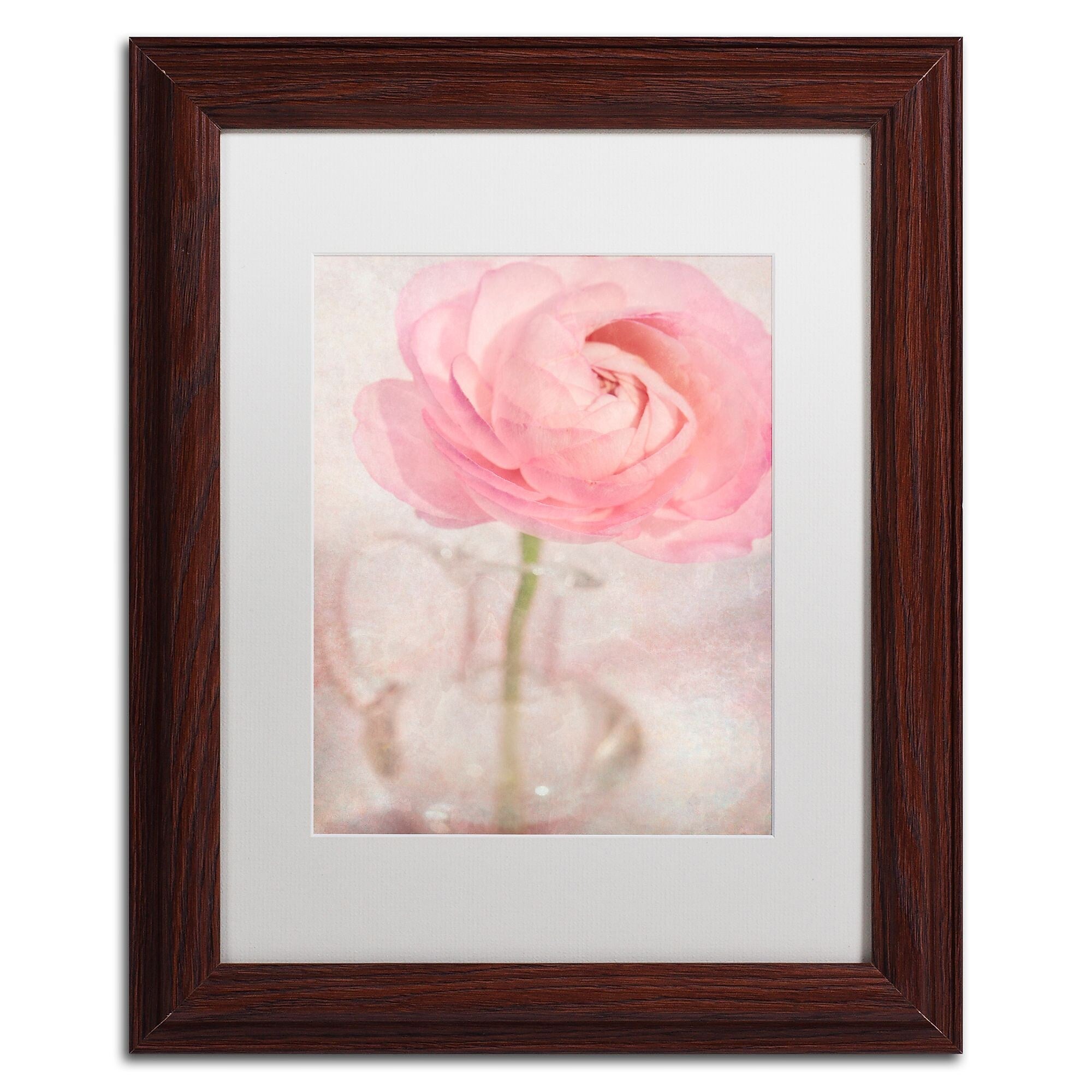 Trademark Fine Art Cora Niele 'Single Rose Pink Flower' 11" x 14" Matted Framed Art Print (190836260607)
