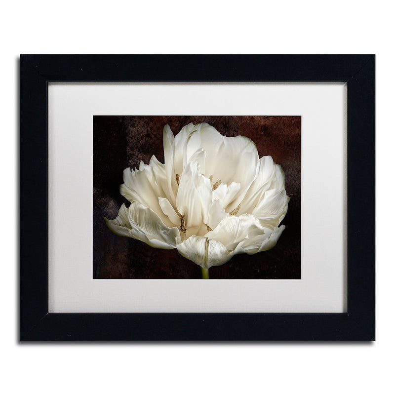 Trademark Fine Art Cora Niele 'Double White Tulip' 11" x 14" Matted Framed (190836257621)