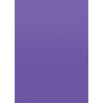 Teacher Created Resources Ultra Purple Better Than Paper Bulletin Board Roll 4-Pack (TCR32207)