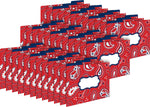 Barker Creek Bandana File Folder, 1/3-Cut Tab, Letter Size, Multicolor, 36/Set (BC3916)