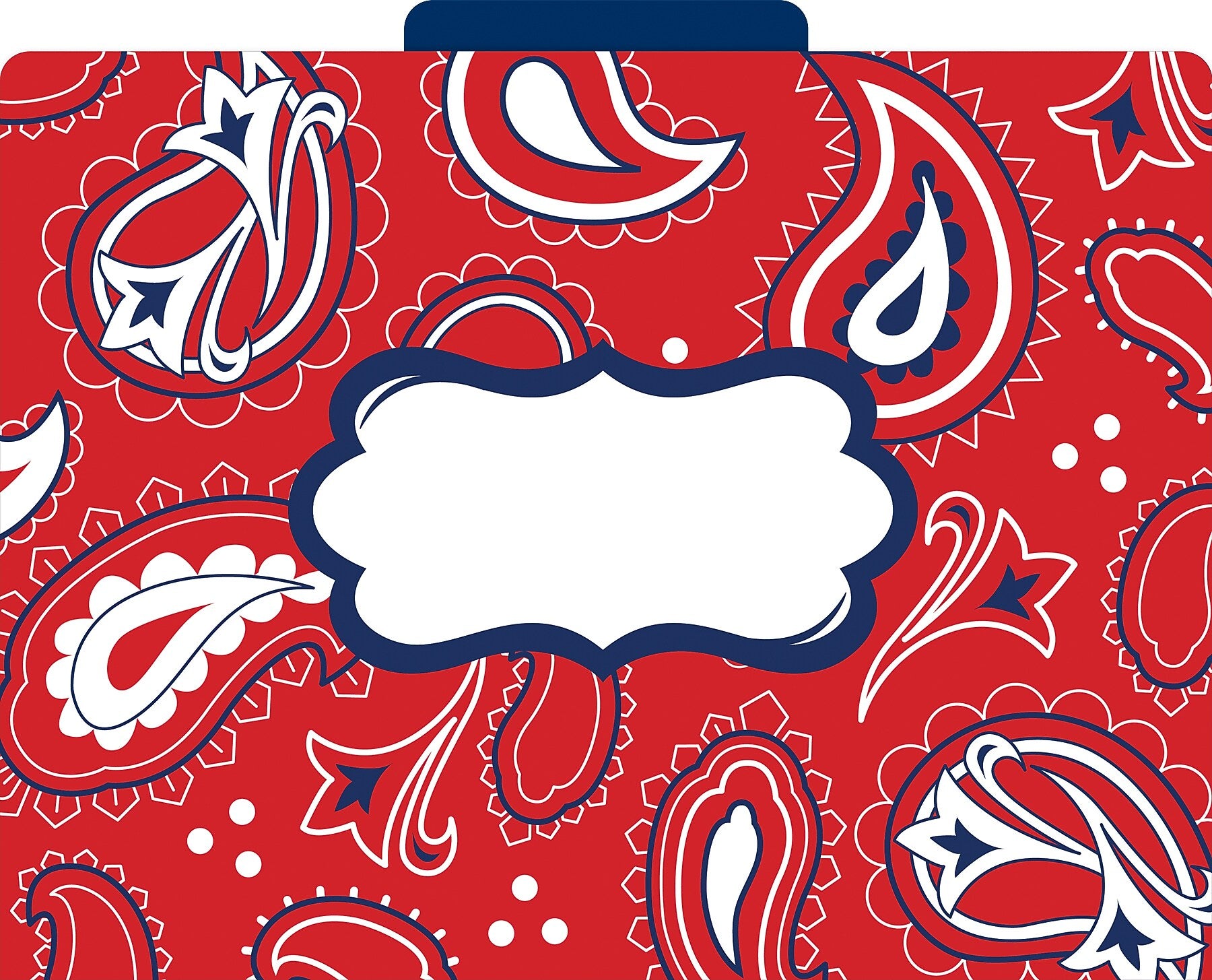 Barker Creek Bandana File Folder, 1/3-Cut Tab, Letter Size, Multicolor, 36/Set (BC3916)