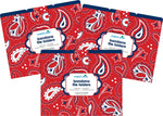 Barker Creek Bandana File Folder, 1/3-Cut Tab, Letter Size, Multicolor, 36/Set (BC3916)