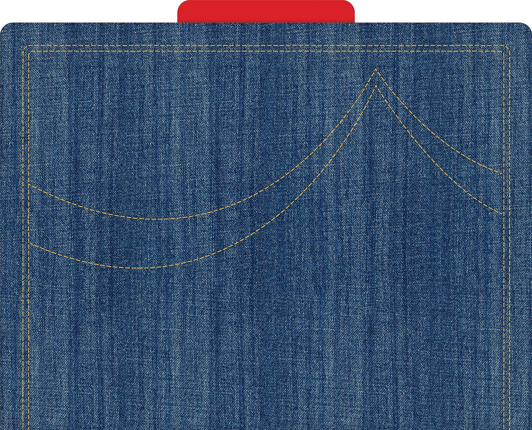 Barker Creek Denim File Folder, 1/3-Cut Tab, Letter Size, Multicolor, 24/Set (BC3942)