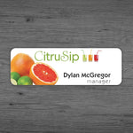 Full Color Matte Name Badge, 1" x 3", Qty 1