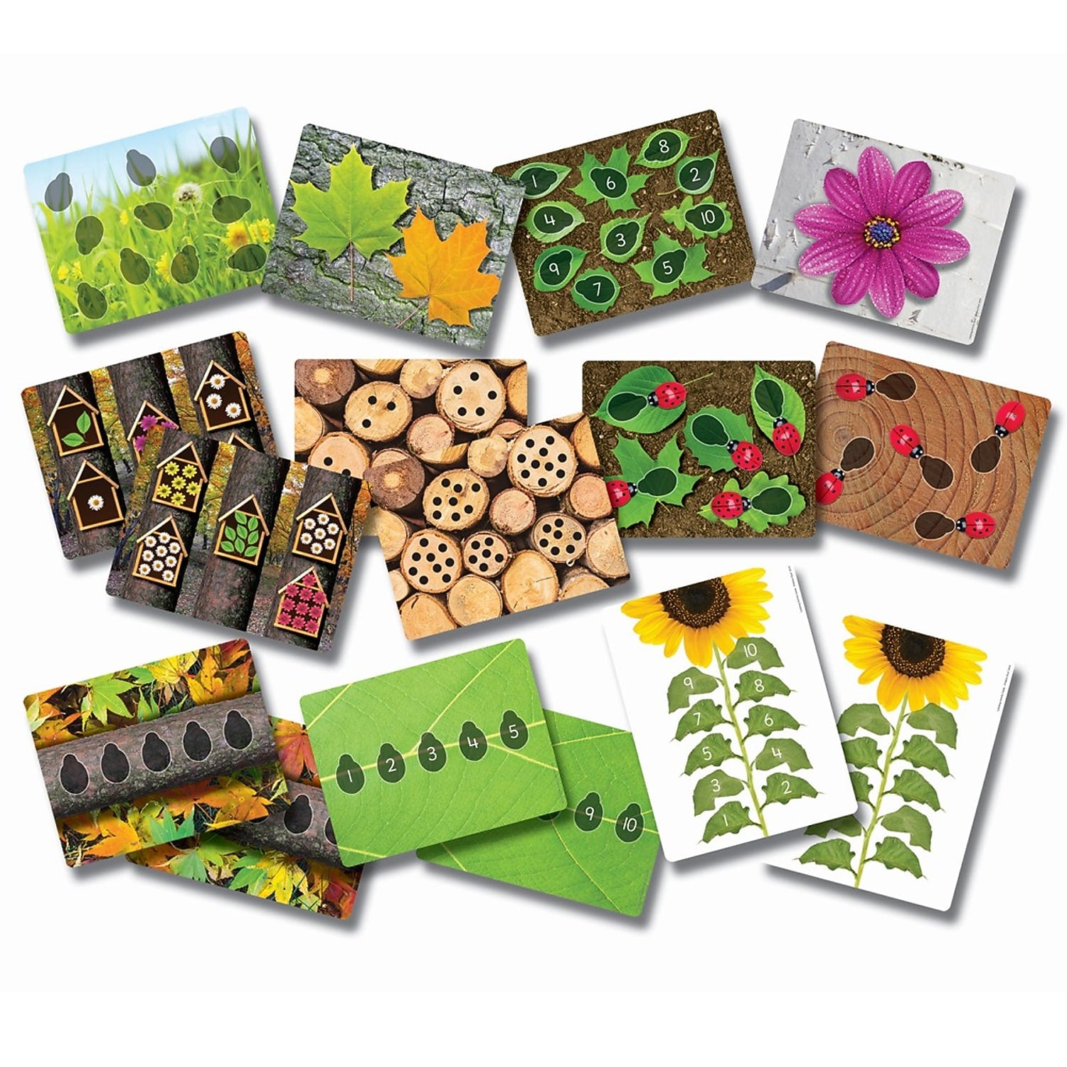 Yellow Door Ladybugs Early Number Card, Pack of 20, 16 Per Pack (YUS1063)