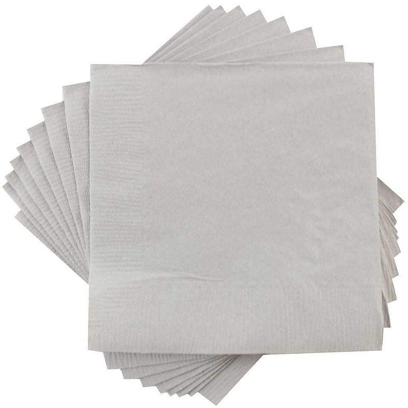 JAM Paper Lunch Napkin, 2-ply, Silver, 600 Napkins/Pack (255628827B)