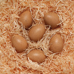 Yellow Door Sensory Sound Eggs, Set of 6 (YUS1087)