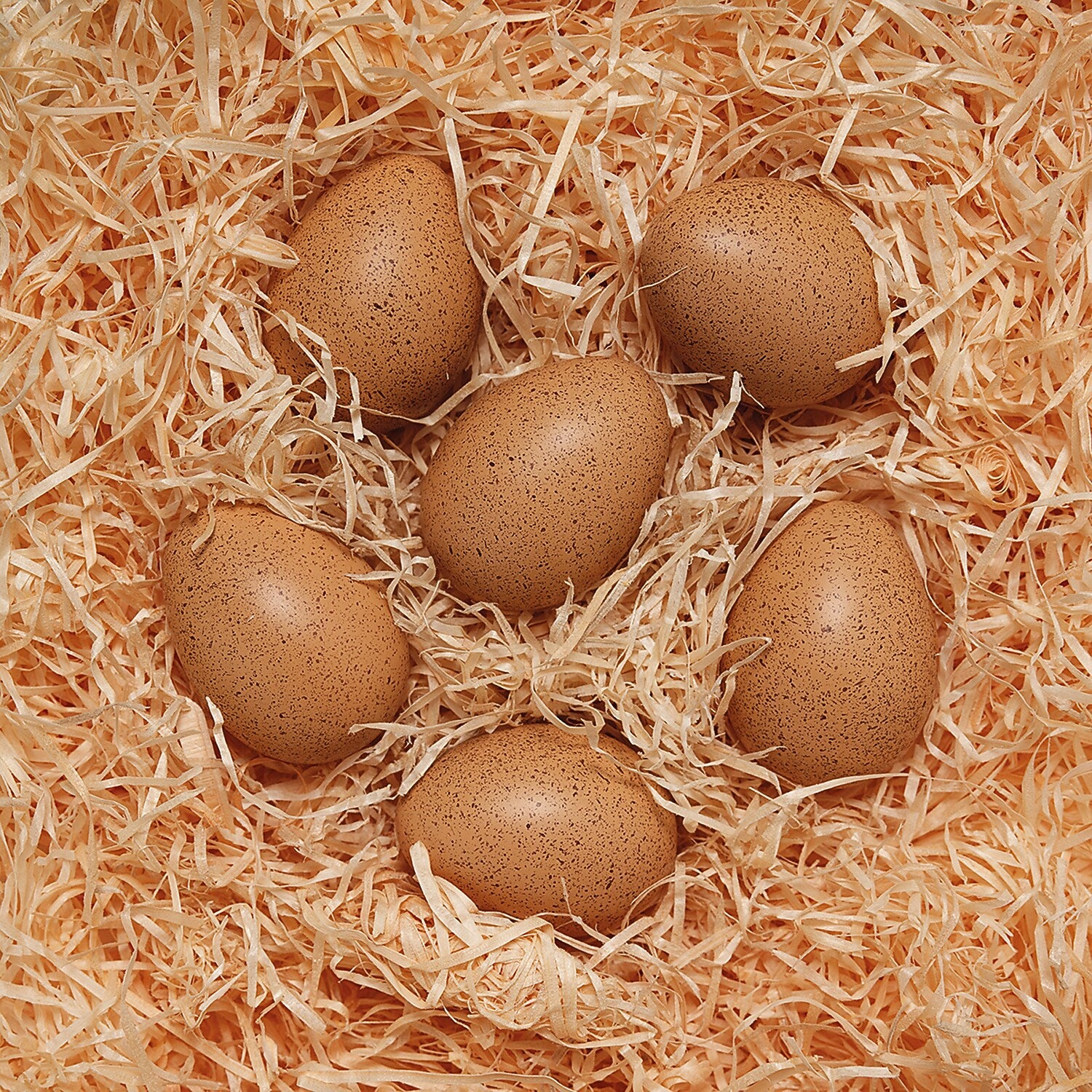 Yellow Door Sensory Sound Eggs, Set of 6 (YUS1087)