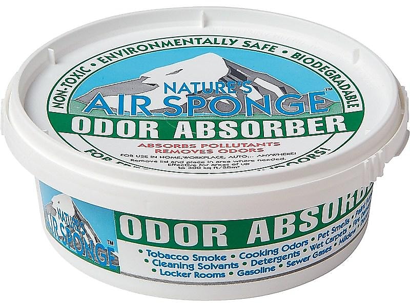 Nature's Air Sponge Odor Absorber (DM-101-6/00001)