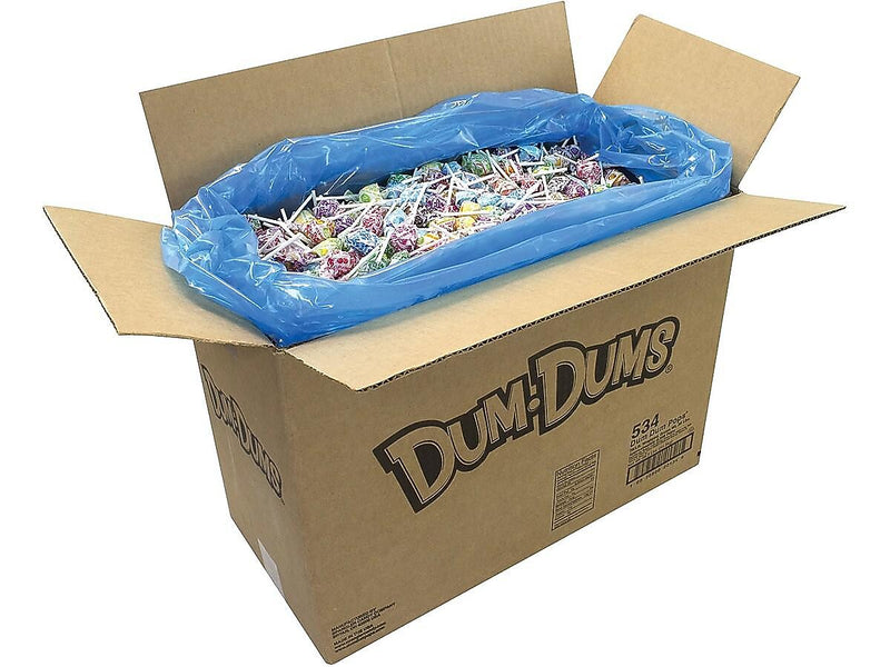 Dum Dums Lollipops, Assorted Flavors, 480 oz., (211-00014)