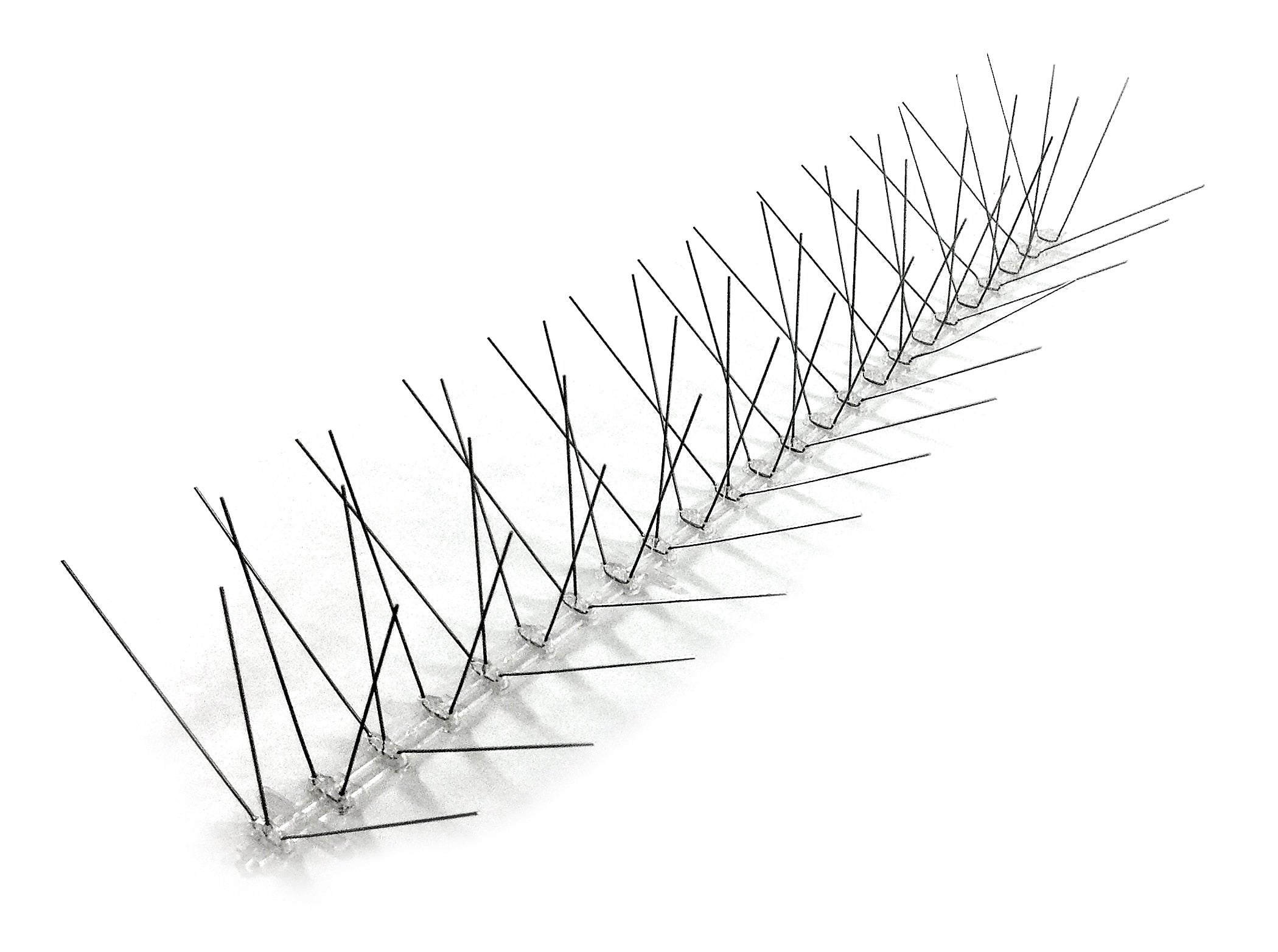 Bird-X Deterrent Steel Spikes, Bird Control, 8"W, 100 ft Long (EWS-100)