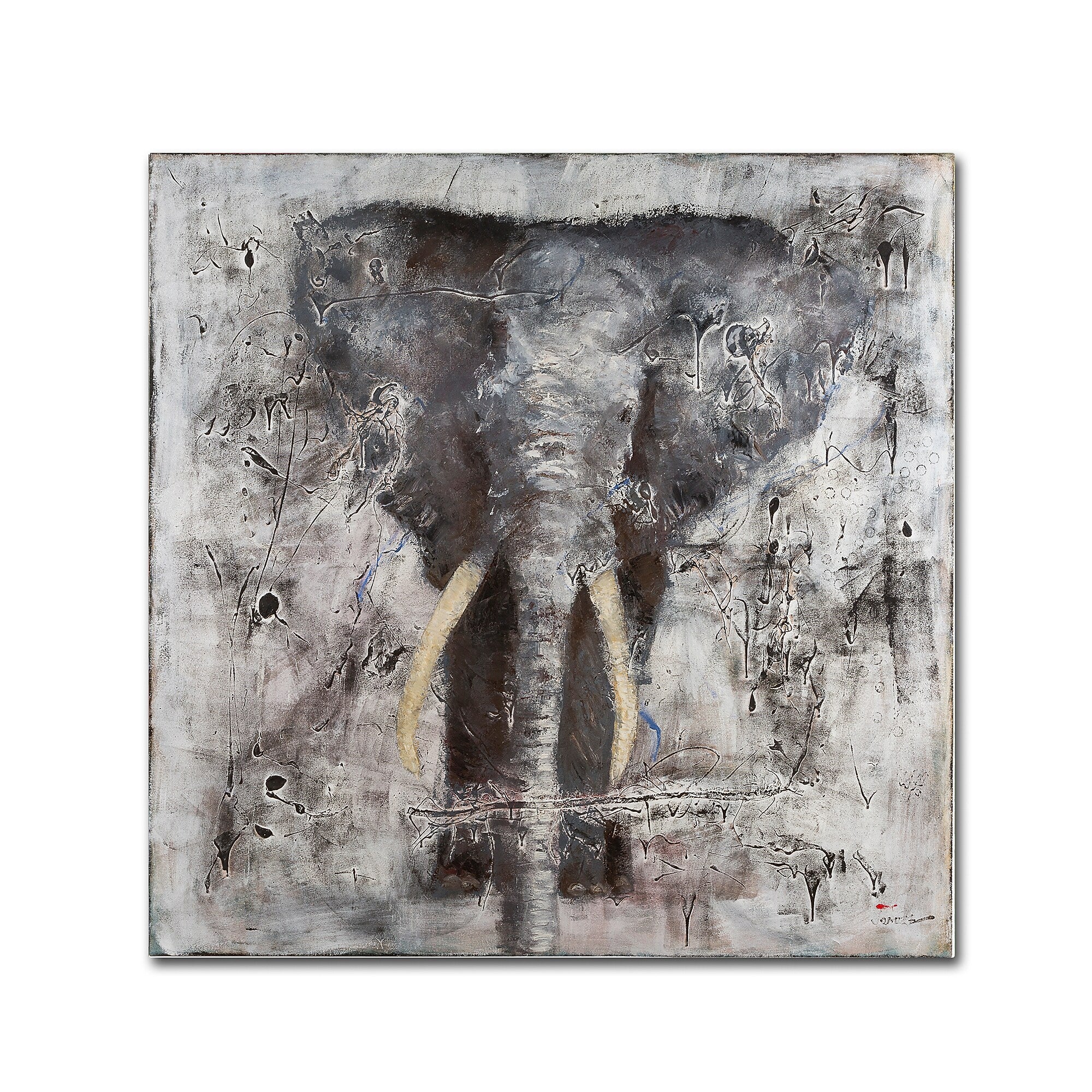 Trademark Fine Art Joarez 'Wild Life' 14" x 14" Canvas Stretched (190836235889)