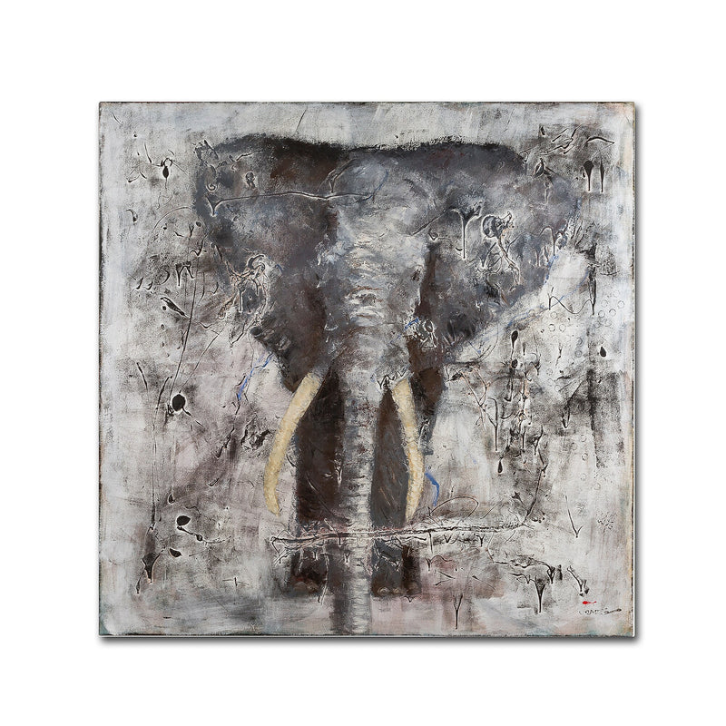 Trademark Fine Art Joarez 'Wild Life' 14" x 14" Canvas Stretched (190836235889)