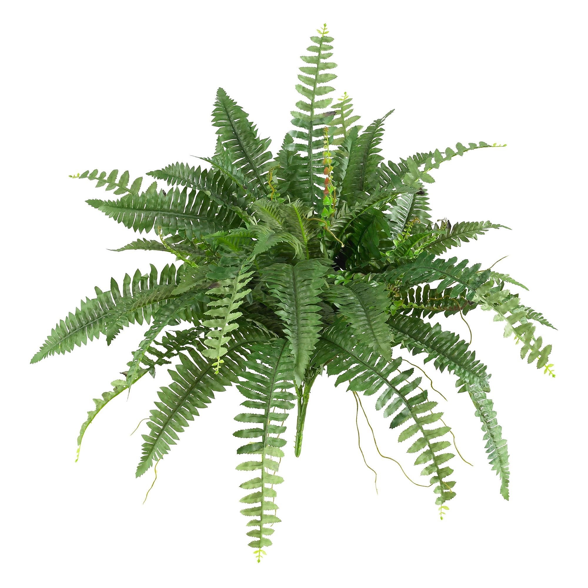 Nearly Natural Boston Fern 40" Green (6032-S2)