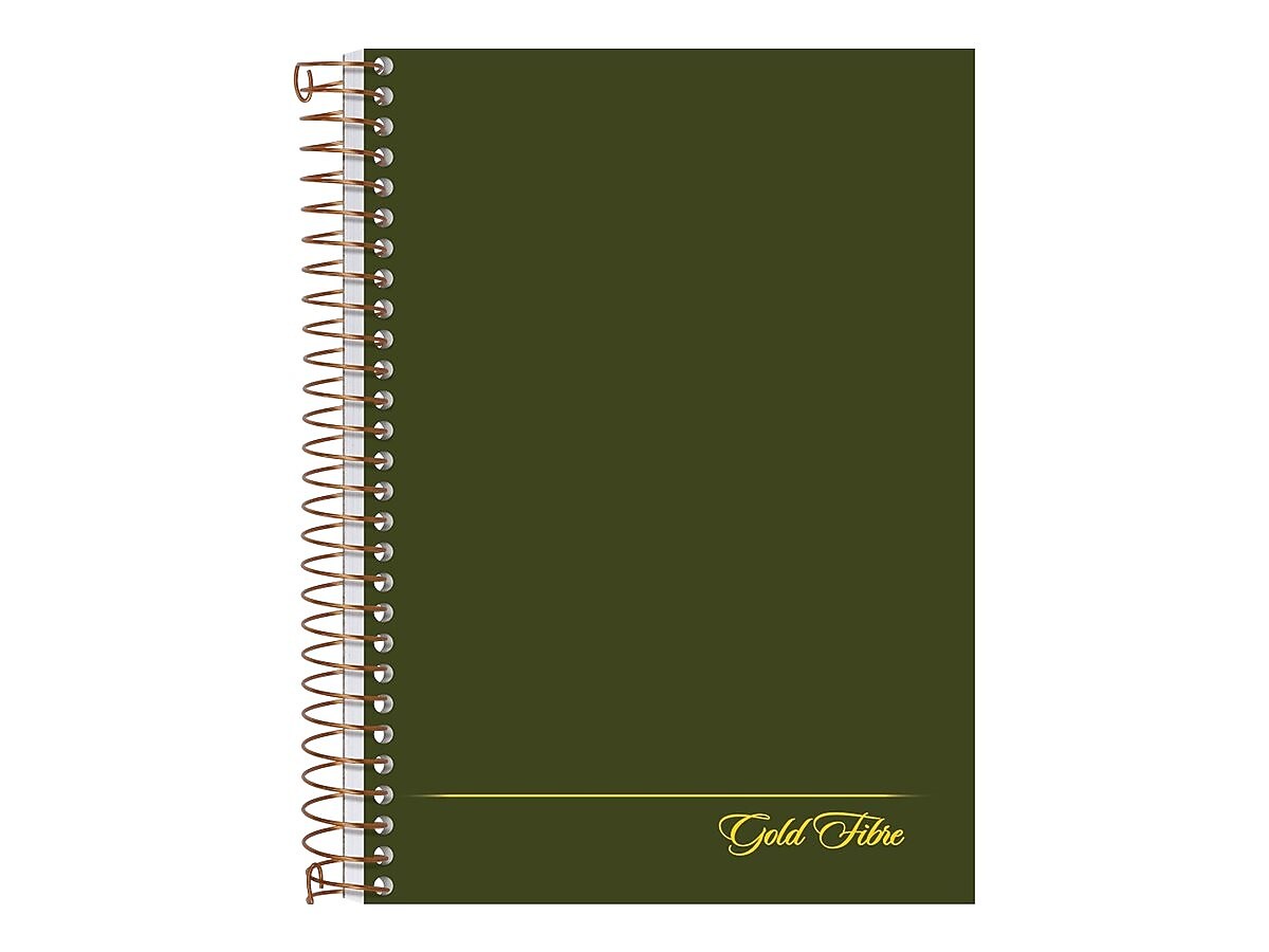 Ampad Gold Fibre 1-Subject Notebook, 5" x 7", College Ruled, 100 Sheets, Green (20-801R)
