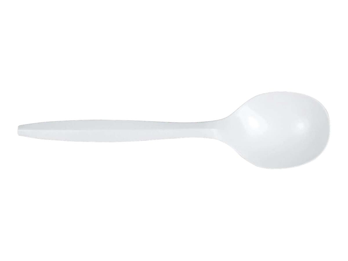 Berkley Square Plastic Soup Spoon, Medium-Weight, White, 1000/Carton (1014000)