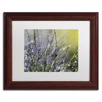 Trademark Fine Art Beata Czyzowska Young 'Spring Morning' 11" x 14" Matted Framed (190836185986)