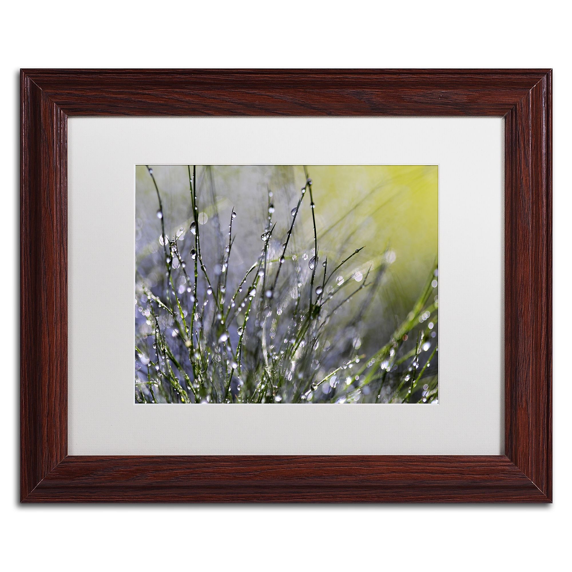 Trademark Fine Art Beata Czyzowska Young 'Spring Morning' 11" x 14" Matted Framed (190836185986)