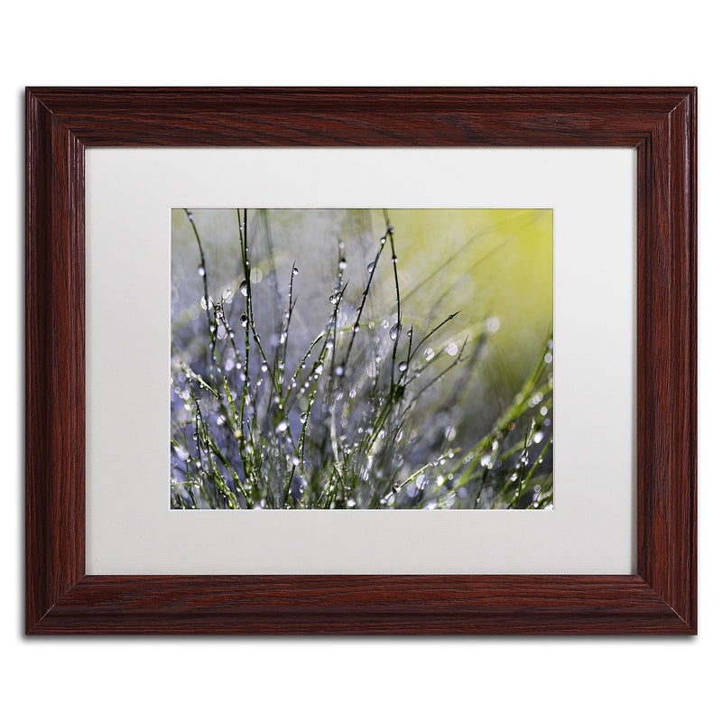 Trademark Fine Art Beata Czyzowska Young 'Spring Morning' 11" x 14" Matted Framed (190836185986)