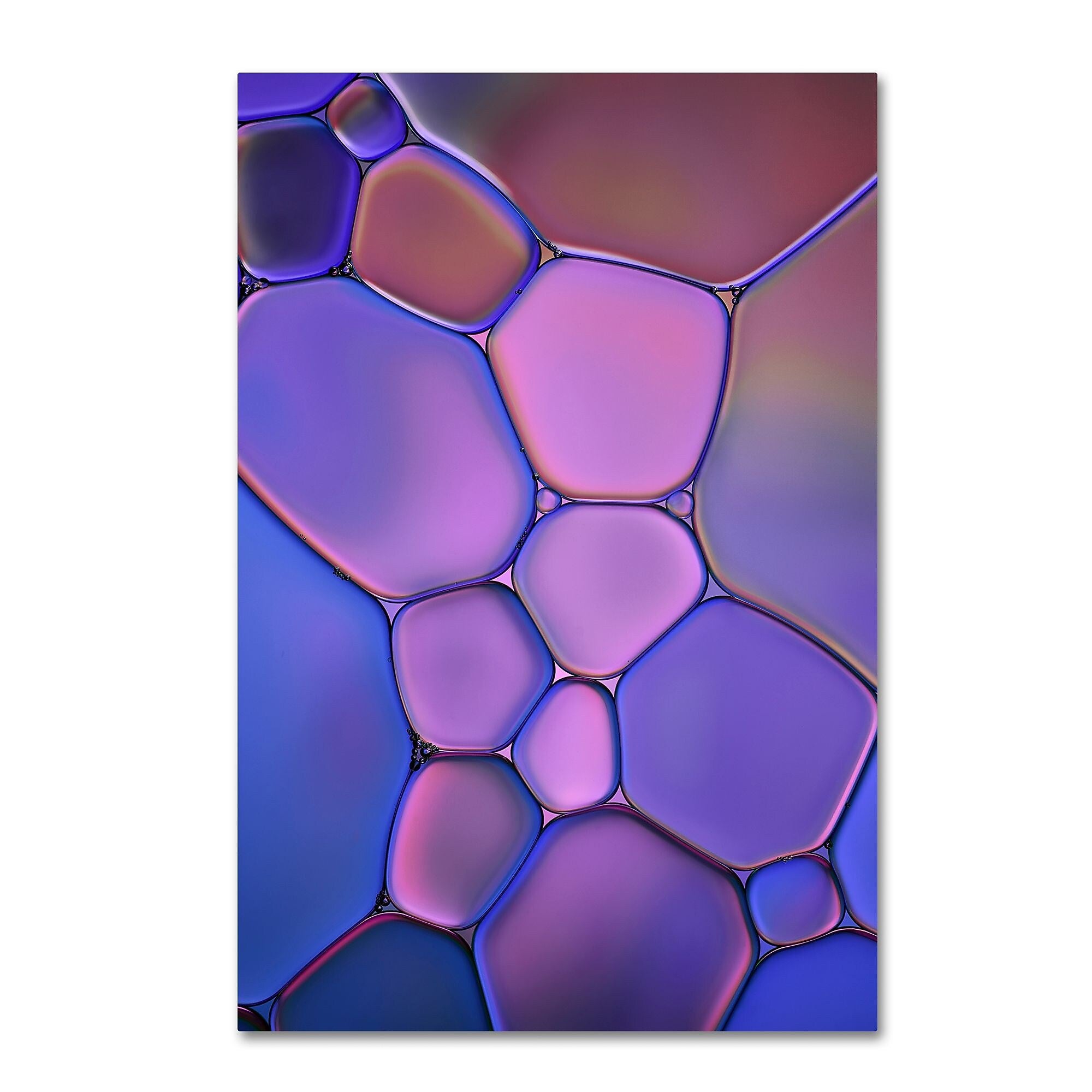 Trademark Fine Art Cora Niele 'Purple Stained Glass' 12" x 19" Canvas Stretched (190836254149)