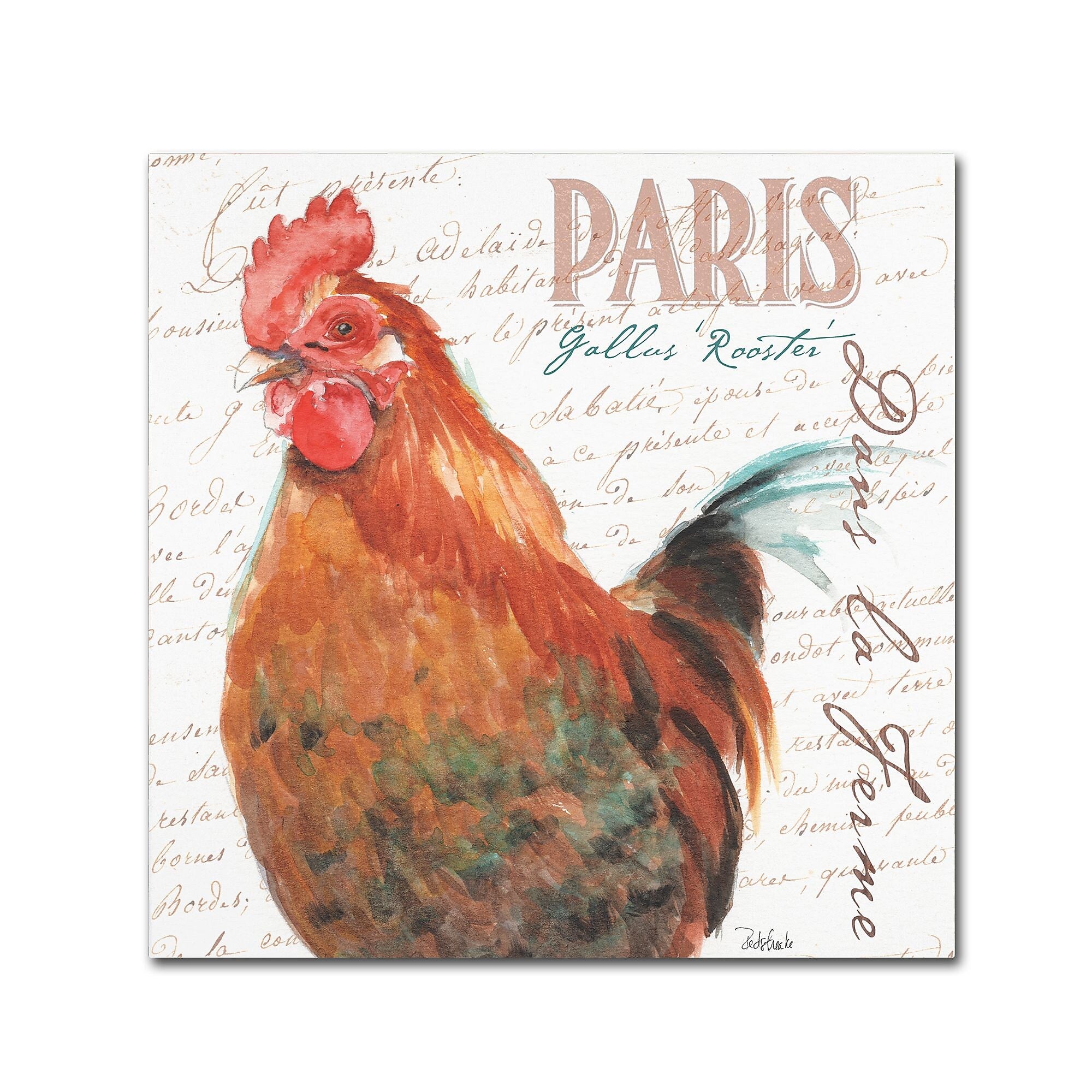 Trademark Fine Art Jennifer Redstreake 'Dans la Ferme Rooster I' 14" x 14" Canvas Stretched (886511943193)