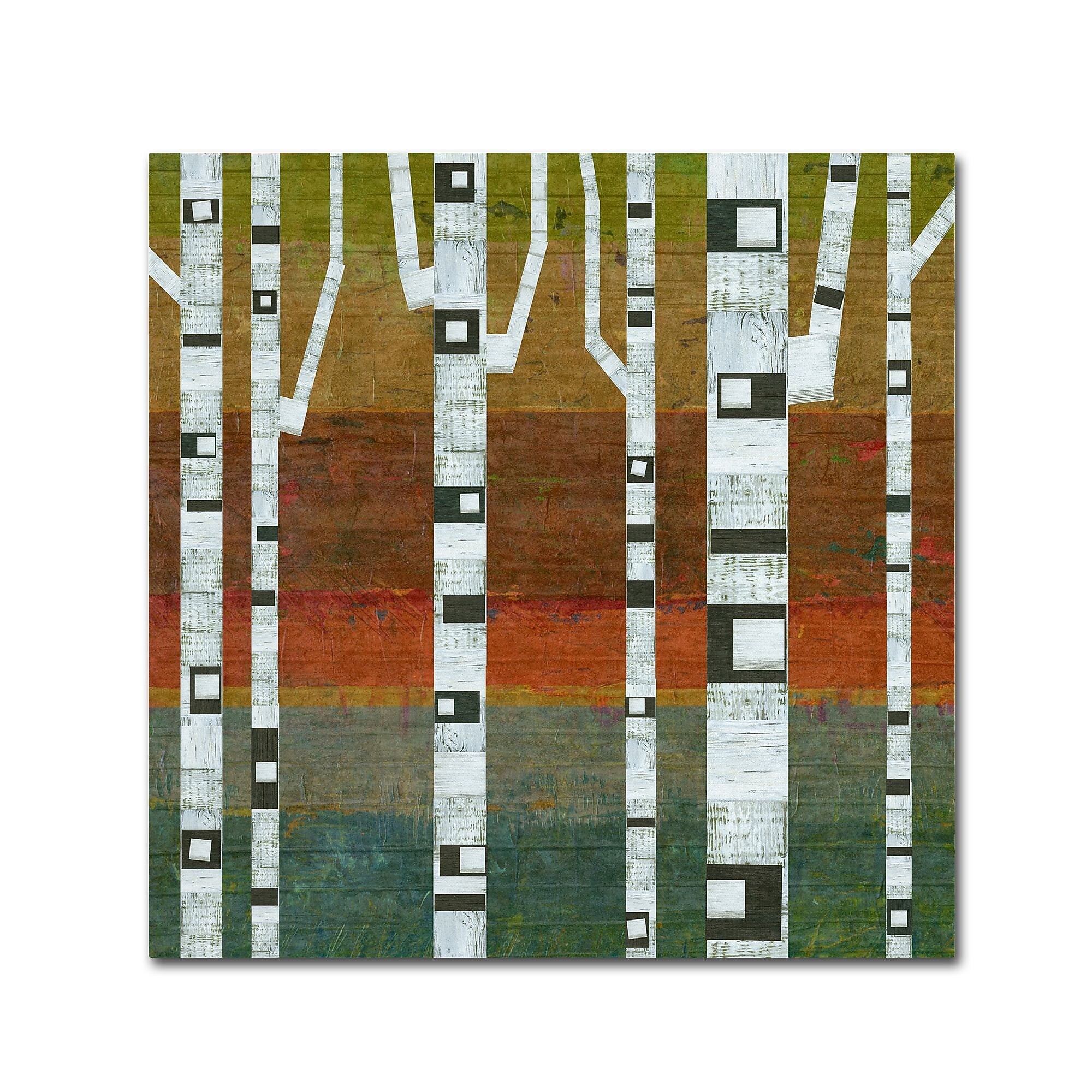 Trademark Fine Art Michelle Calkins 'Birches' 14" x 14" Canvas Stretched (190836070381)