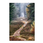 Trademark Fine Art Cora Niele 'Hiking Trail' 12" x 19" Canvas Stretched (190836316526)