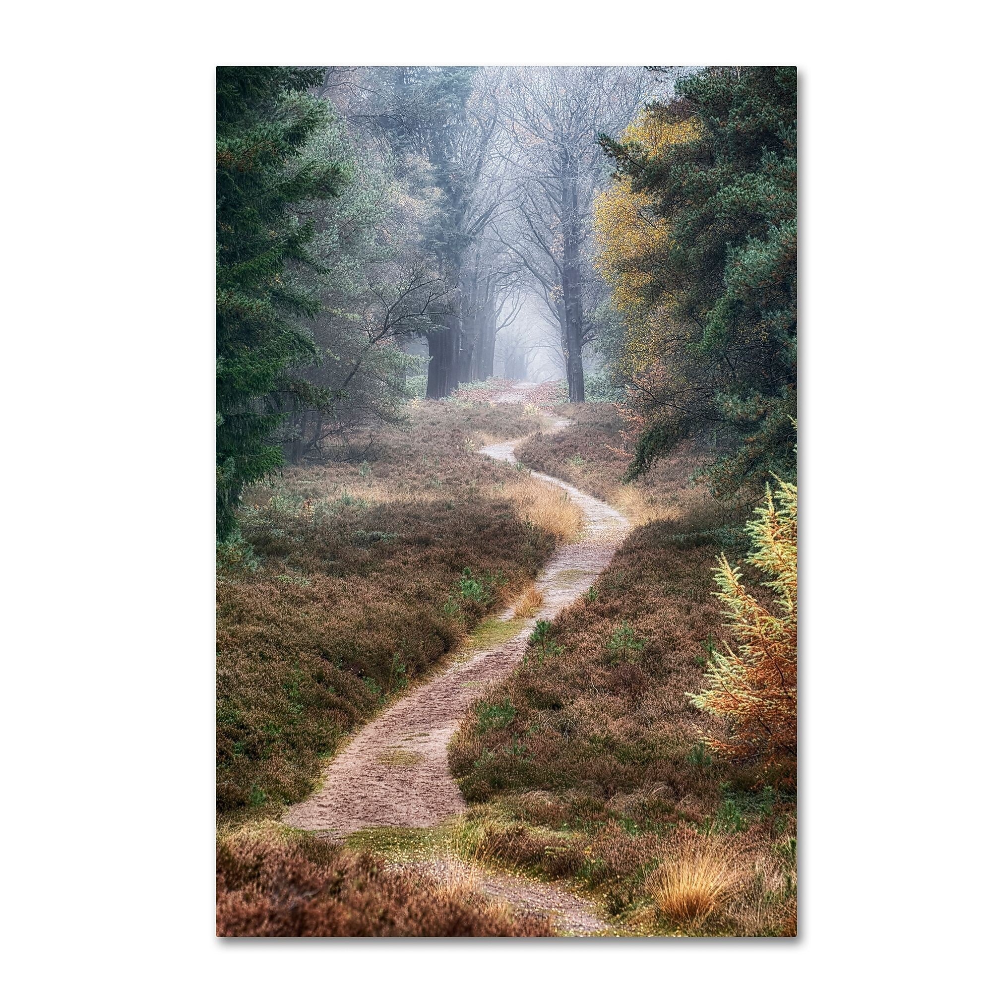 Trademark Fine Art Cora Niele 'Hiking Trail' 12" x 19" Canvas Stretched (190836316526)