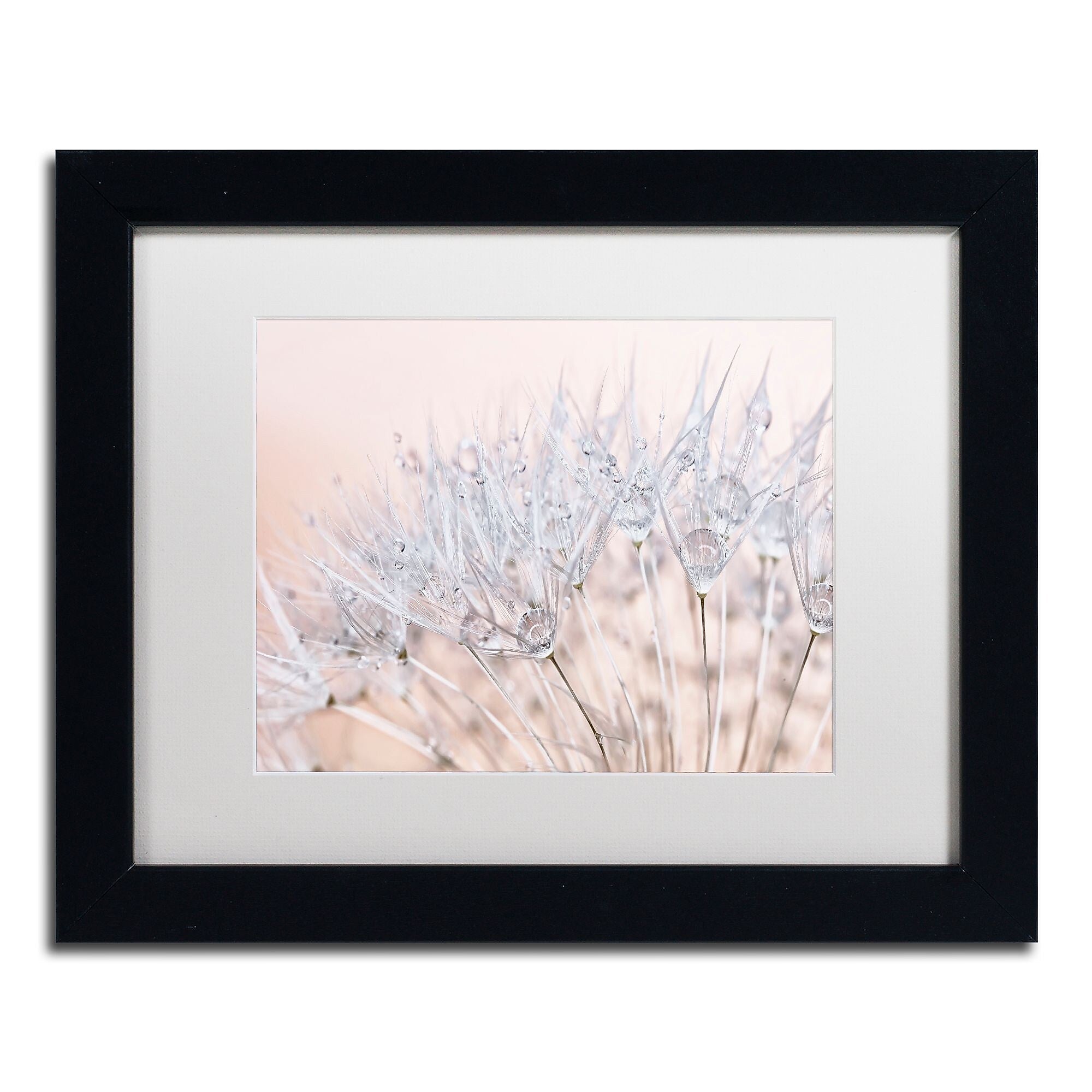 Trademark Fine Art Cora Niele 'Dandelion Dew II' 11" x 14" Matted Framed (190836251469)