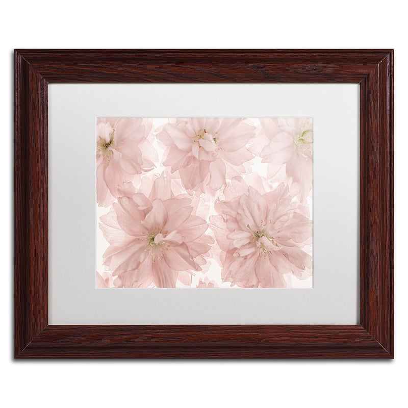 Trademark Fine Art Cora Niele 'Prunus Blossom' 11" x 14" Matted Framed (190836308644)