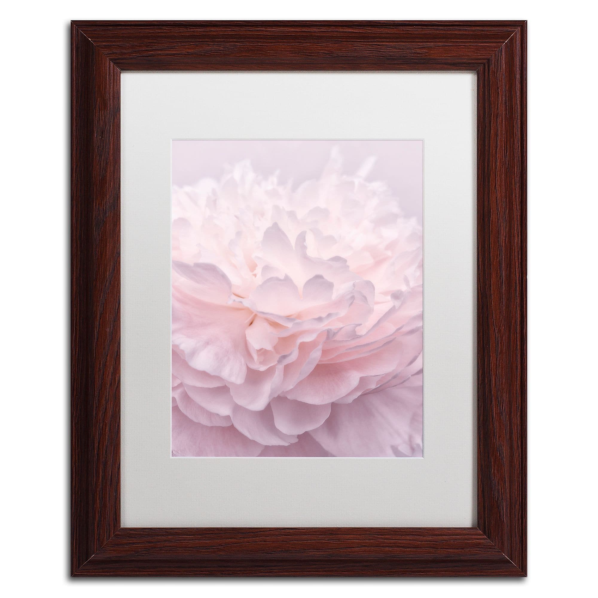 Trademark Fine Art Cora Niele 'Pink Peony Petals I' 11" x 14" Matted Framed (190836307388)