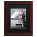 Trademark Fine Art CATeyes 'Tranquility' 11" x 14" Matted Framed (190836099665)