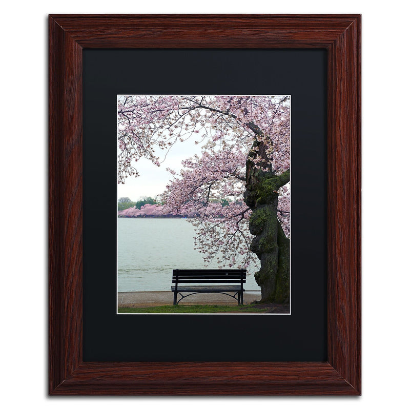 Trademark Fine Art CATeyes 'Tranquility' 11" x 14" Matted Framed (190836099665)