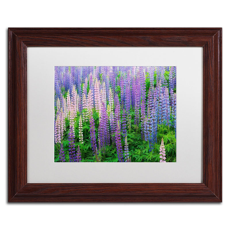 Trademark Fine Art Cora Niele 'Blue Pink Lupine Flower Field' 11" x 14" Matted Framed (190836247349)