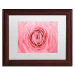 Trademark Fine Art Cora Niele 'Pink Persian Buttercup Flower' 11" x 14" Matted Framed (190836308224)