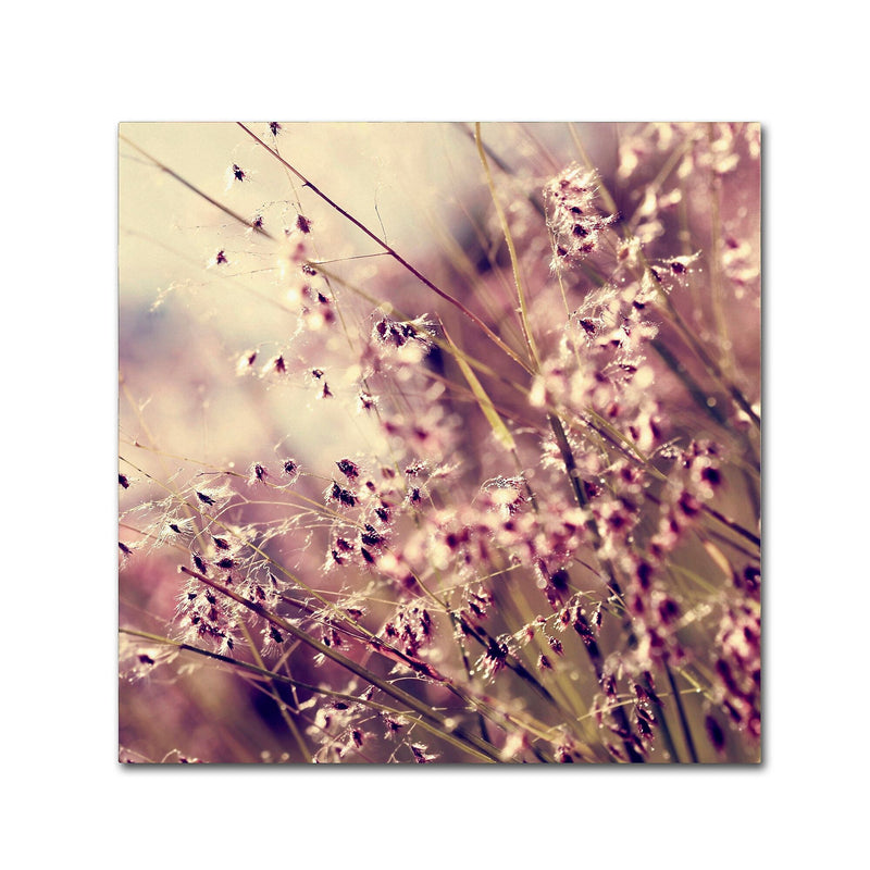 Trademark Fine Art Beata Czyzowska Young 'Field of Sunshine' 18" x 18" Canvas Stretched (190836183654)