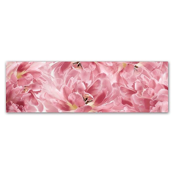 Trademark Fine Art Cora Niele 'Pink Tulips Scape' 6" x 19" Canvas Stretched (190836317806)