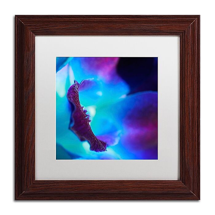 Trademark Fine Art Beata Czyzowska Young 'Colours of Tomorrow' 11" x 11" Matted Framed (190836183326)