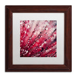 Trademark Fine Art Beata Czyzowska Young 'Red Melody' 11" x 11" Matted Framed (190836185429)