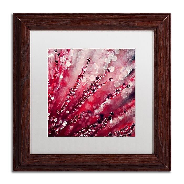 Trademark Fine Art Beata Czyzowska Young 'Red Melody' 11" x 11" Matted Framed (190836185429)