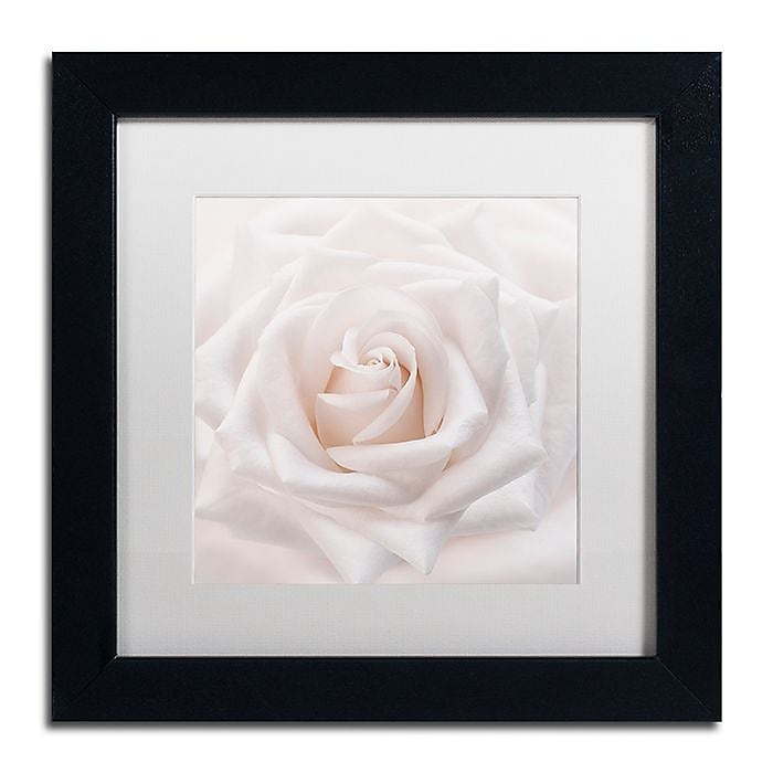 Trademark Fine Art Cora Niele 'Soft White Rose' 11" x 11" Matted Framed (190836309641)