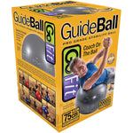 Gofit Stability Ball, Gray (GOFGF75PRO)