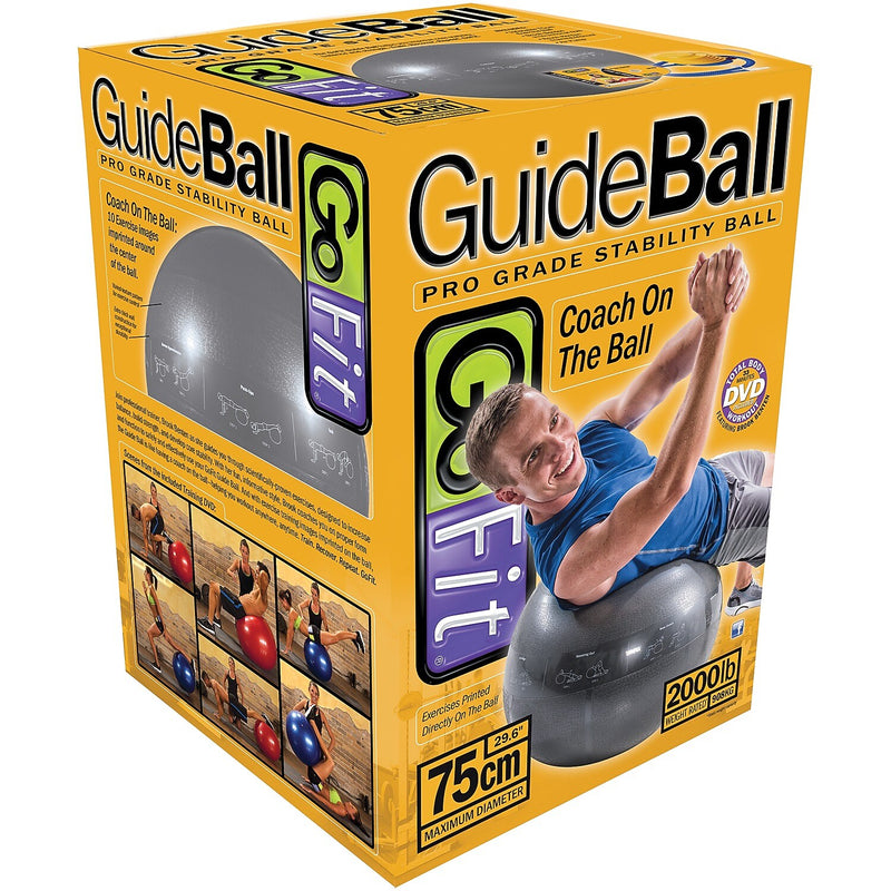Gofit Stability Ball, Gray (GOFGF75PRO)