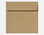 LUX 5 1/2 x 5 1/2 Square Envelopes, 250/Box, Grocery Bag (8515-GB-250)