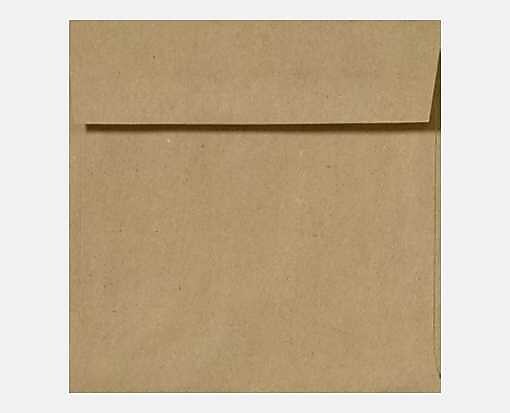 LUX 5 1/2 x 5 1/2 Square Envelopes, 250/Box, Grocery Bag (8515-GB-250)