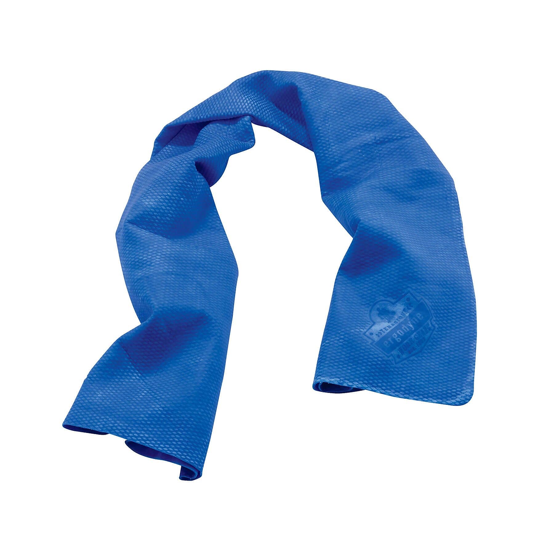 Ergodyne Chill-Its 6602 Cooling Towel, Blue, One Size, 50/Carton (12410)