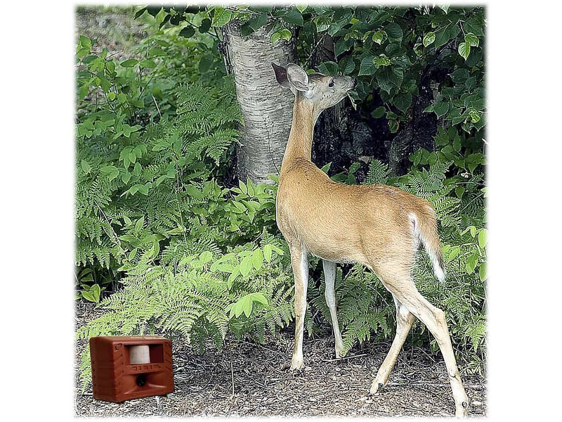 Bird-X Deer Gard Deterrent for Deer