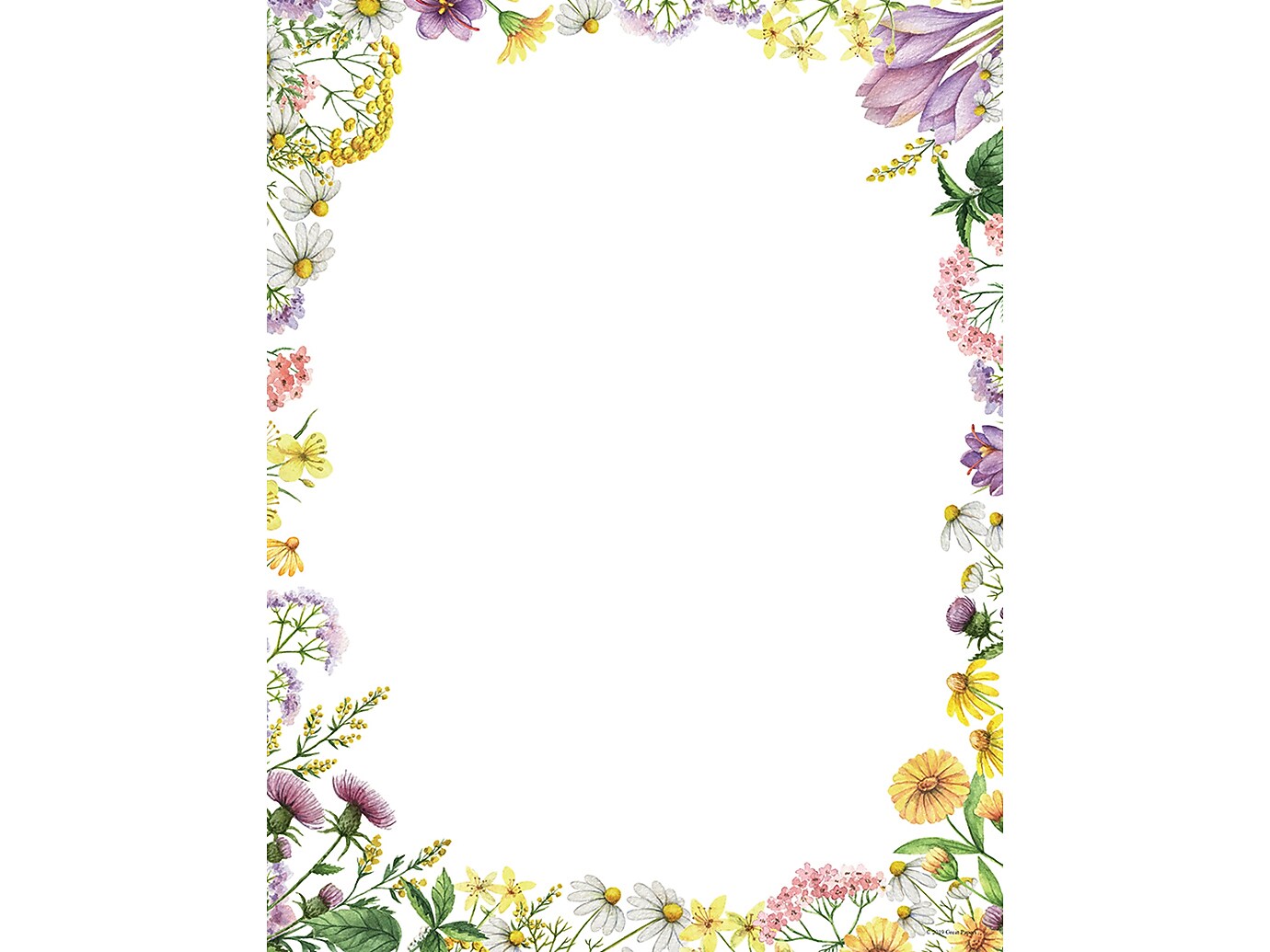 Great Papers! Flower Meadows Everyday Letterhead, Multicolor, 80/Pack (2019077)