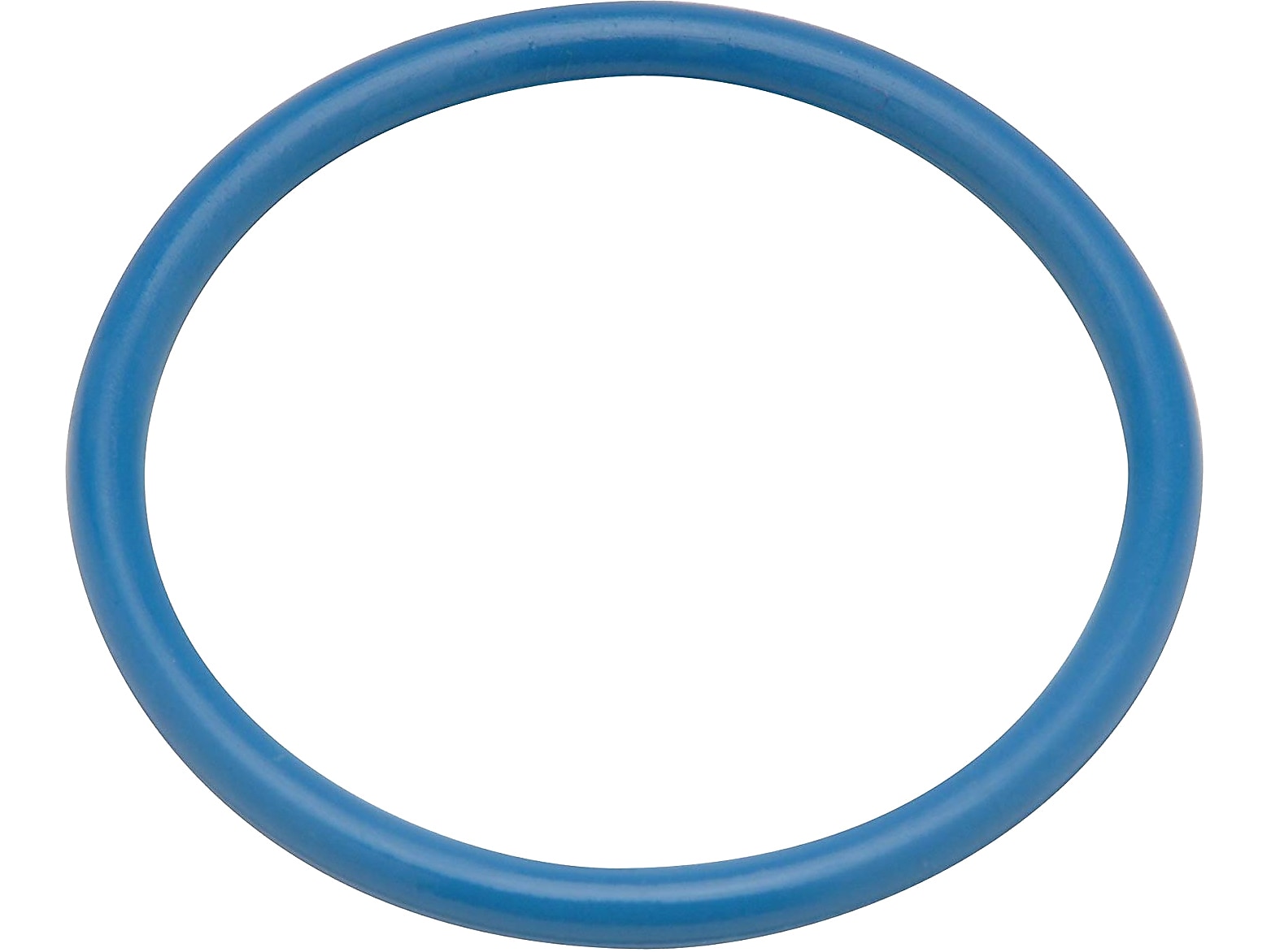 Zurn Tailpiece Ring (P6000-C31)